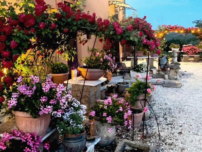 Aesis La Dolce Collina * Jesi