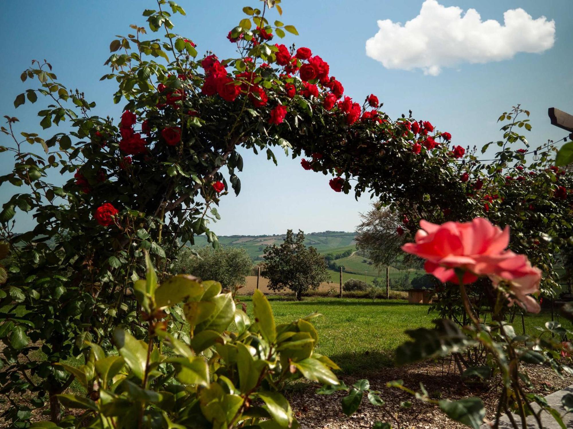 Aesis La Dolce Collina Séjour à la campagne