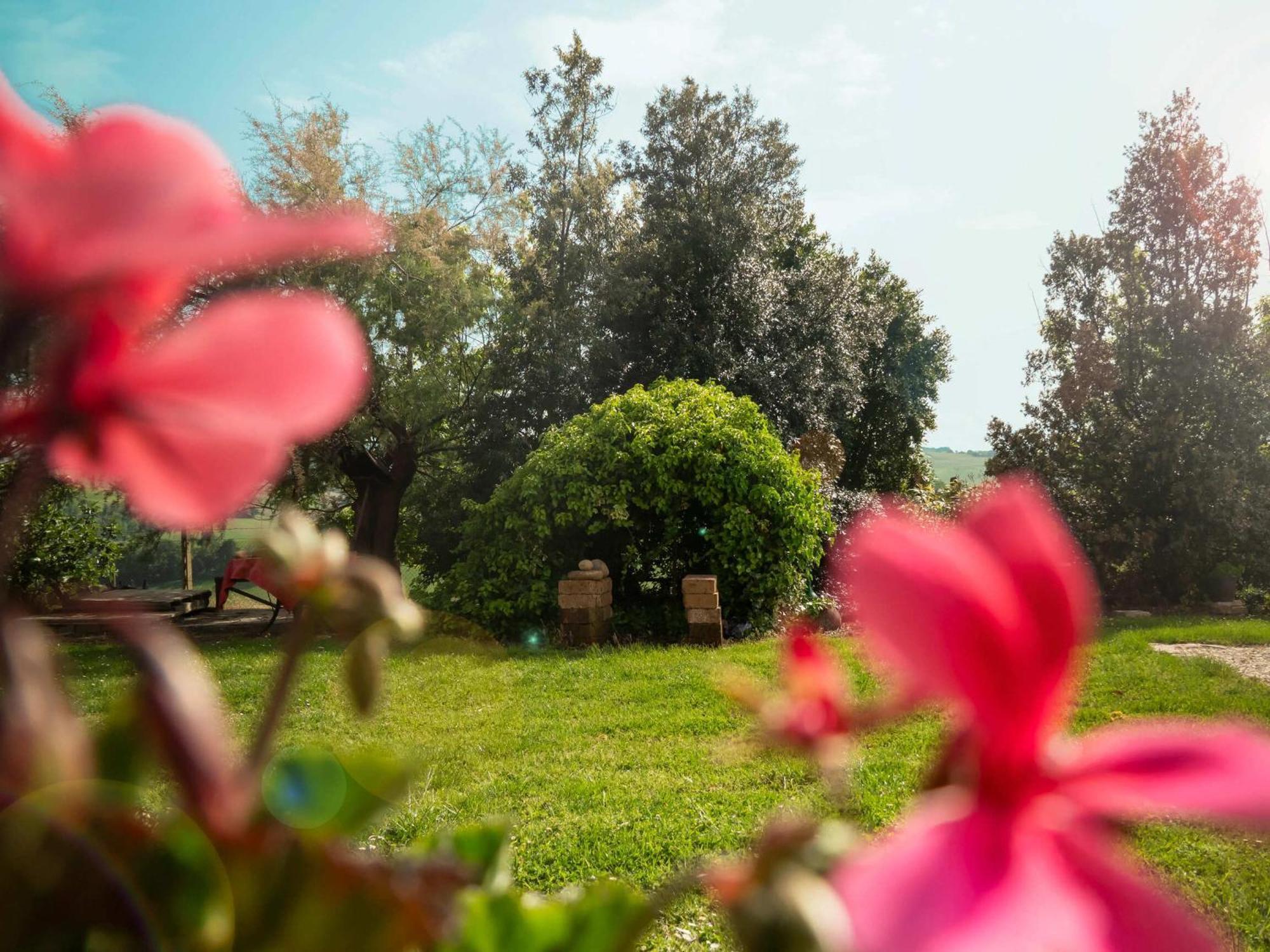 Aesis La Dolce Collina Jesi