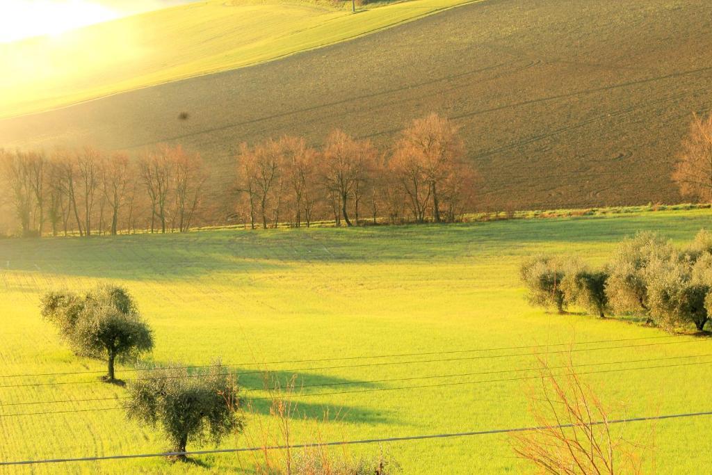 Séjour à la campagne Aesis La Dolce Collina Jesi